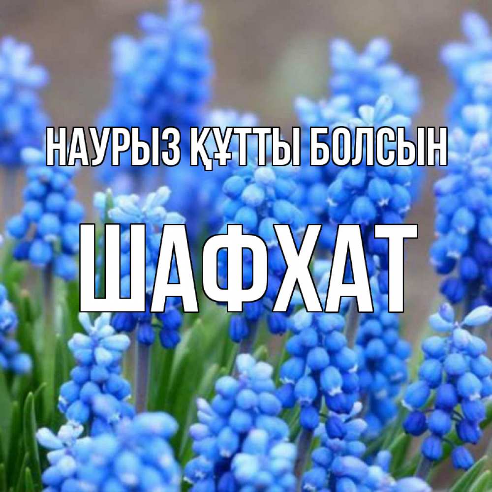 Күн сайын ашық хат с именем, ШАФХАТ Наурыз құтты болсын Поздравительная открытка для женщин с цветами на праздничную дату Онлайн тегін жүктеп алу тілектері бар керемет карта 