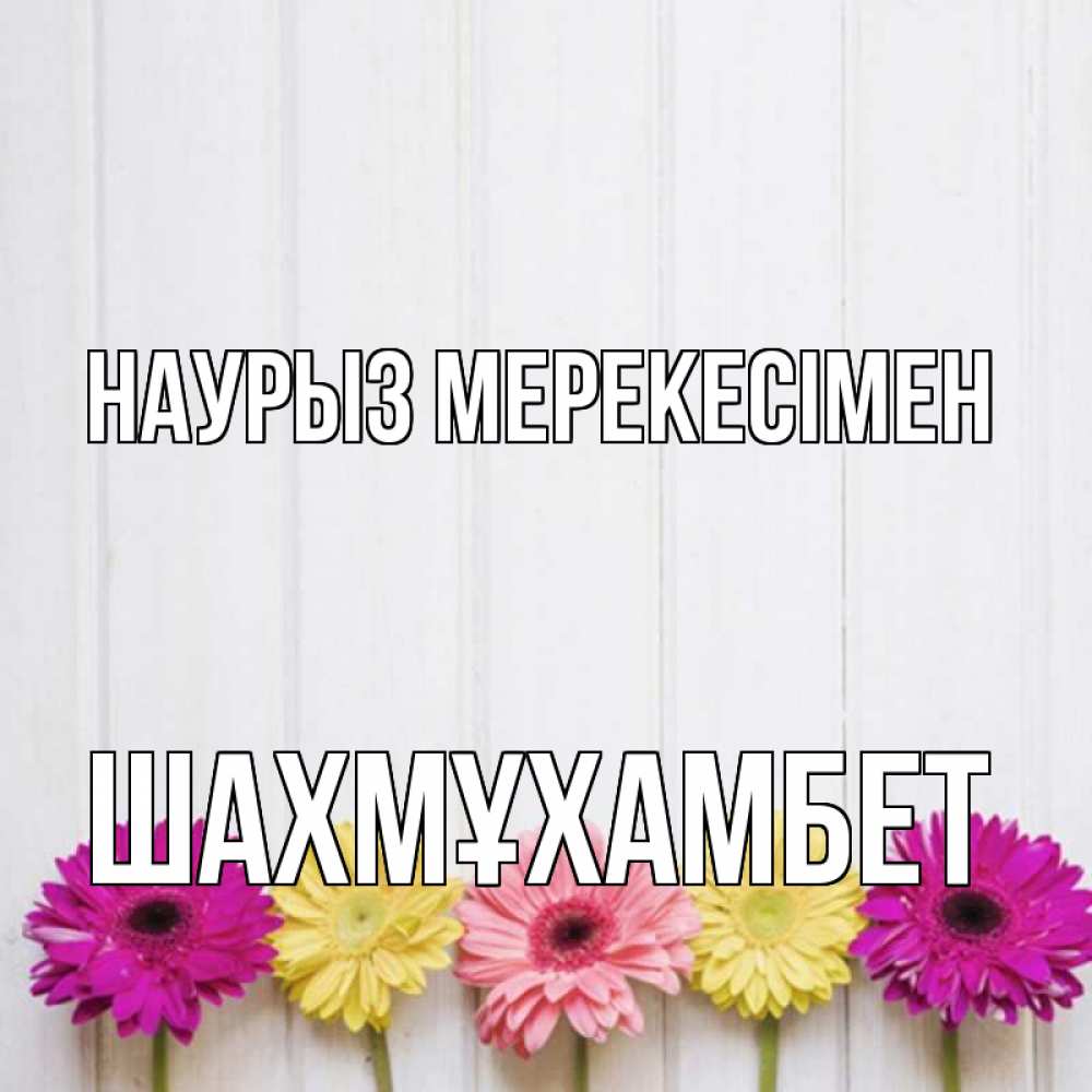 Күн сайын ашық хат с именем, ШАХМҰХАМБЕТ Наурыз мерекесімен женщинам 1 Онлайн тегін жүктеп алу тілектері бар керемет карта 