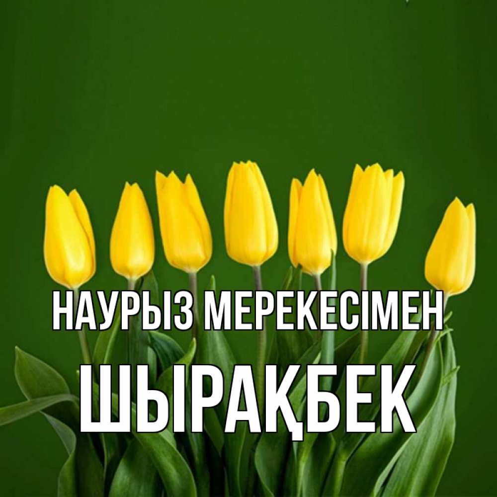 Күн сайын ашық хат с именем, ШЫРАҚБЕК Наурыз мерекесімен желтого цвета 3 Онлайн тегін жүктеп алу тілектері бар керемет карта 