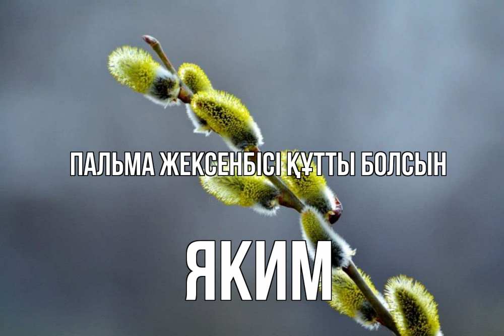 Күн сайын ашық хат с именем, Яким Пальма жексенбісі құтты болсын верба Онлайн тегін жүктеп алу тілектері бар керемет карта 