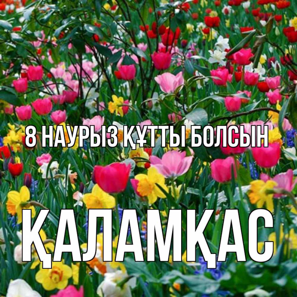 Күн сайын ашық хат с именем, ҚАЛАМҚАС 8 наурыз құтты болсын с международным женским днем поздравления для женщины Онлайн тегін жүктеп алу тілектері бар керемет карта 