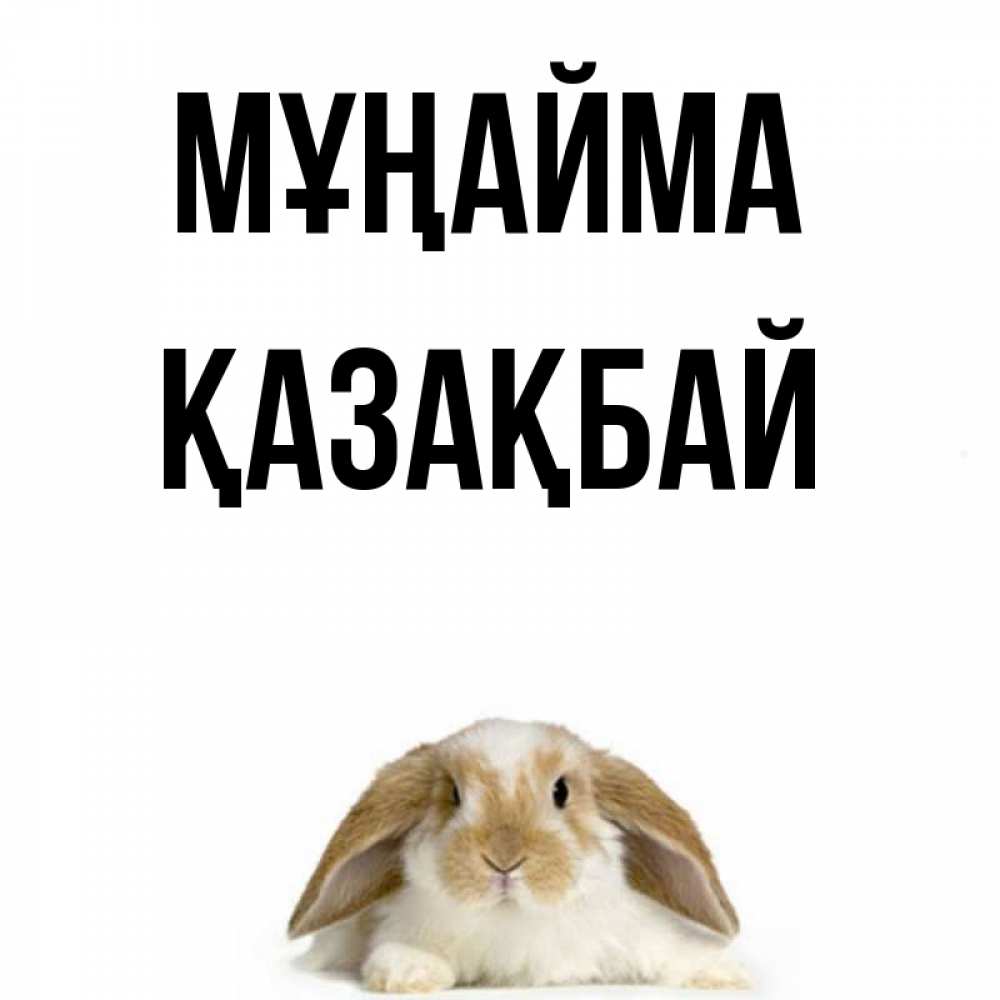 Күн сайын ашық хат с именем, Қазақбай Мұңайма коричнево белый заяц с большими ушками Онлайн тегін жүктеп алу тілектері бар керемет карта 