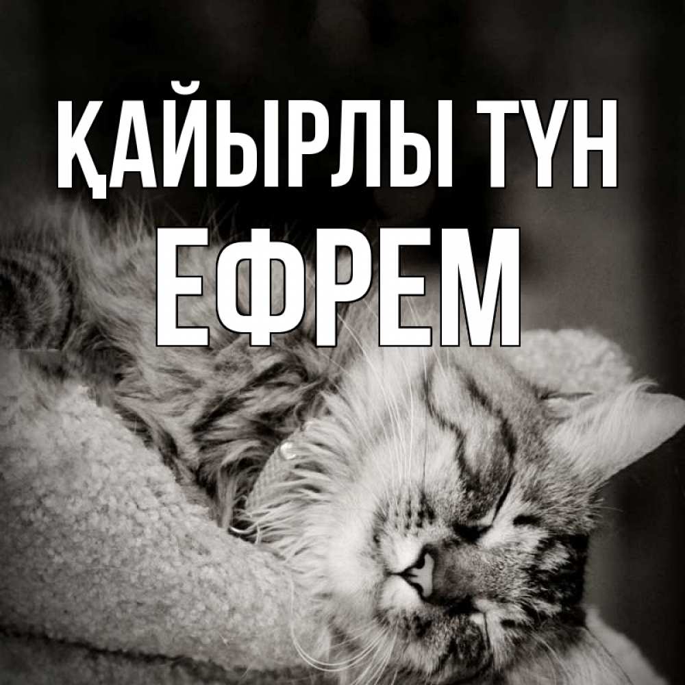 Күн сайын ашық хат с именем, Ефрем Қайырлы түн котярик пушистый Онлайн тегін жүктеп алу тілектері бар керемет карта 