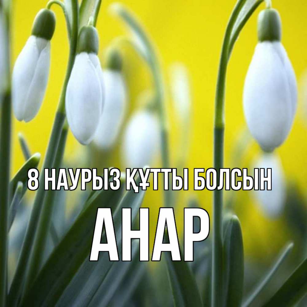 Күн сайын ашық хат с именем, АНАР 8 наурыз құтты болсын весенние цветы Онлайн тегін жүктеп алу тілектері бар керемет карта 