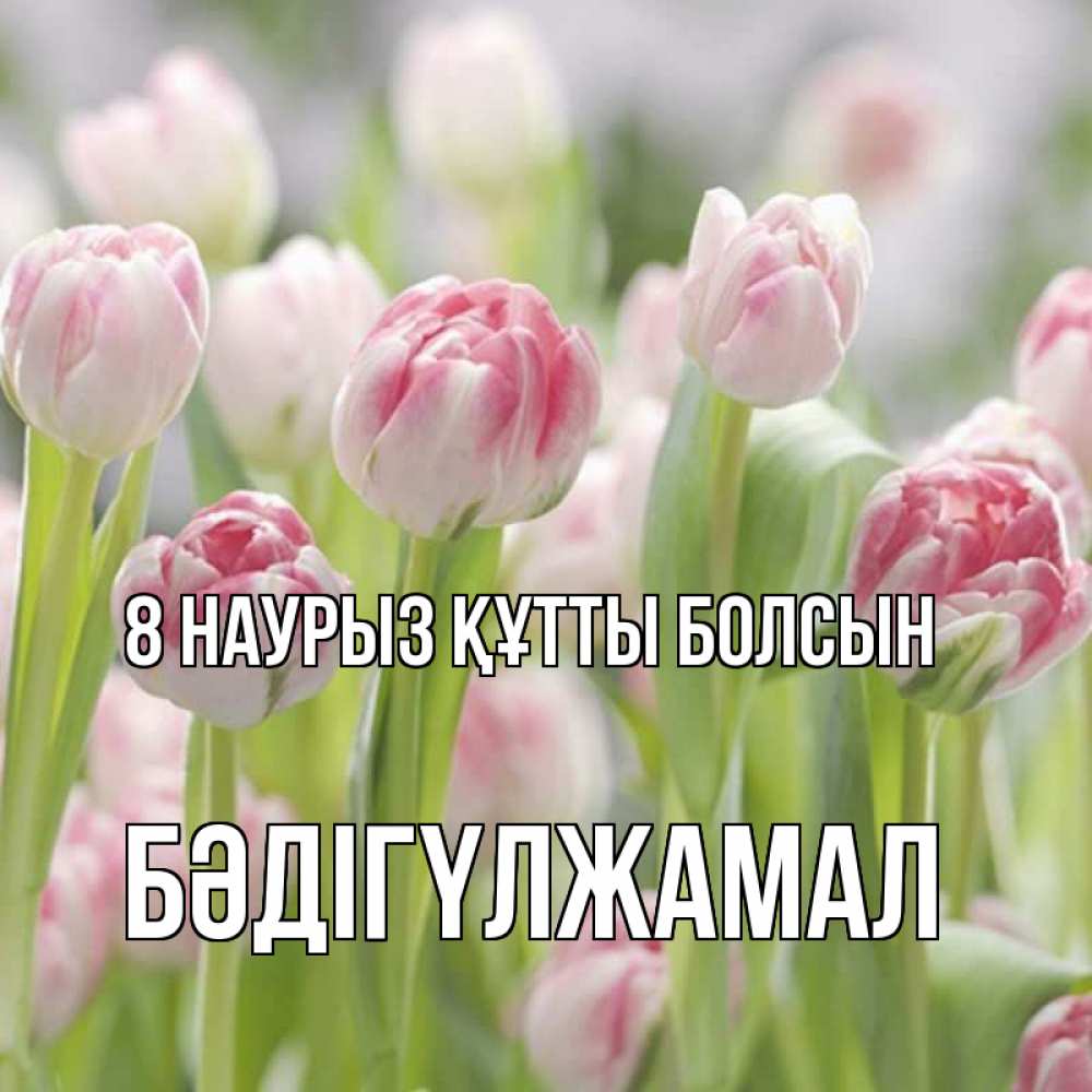 Күн сайын ашық хат с именем, БӘДІГҮЛЖАМАЛ 8 наурыз құтты болсын цветы Онлайн тегін жүктеп алу тілектері бар керемет карта 