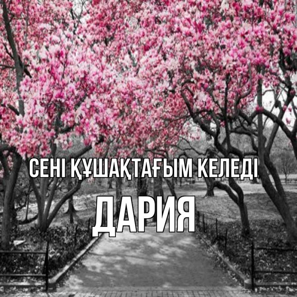 Күн сайын ашық хат с именем, ДАРИЯ сені құшақтағым келеді обработанное фото Онлайн тегін жүктеп алу тілектері бар керемет карта 