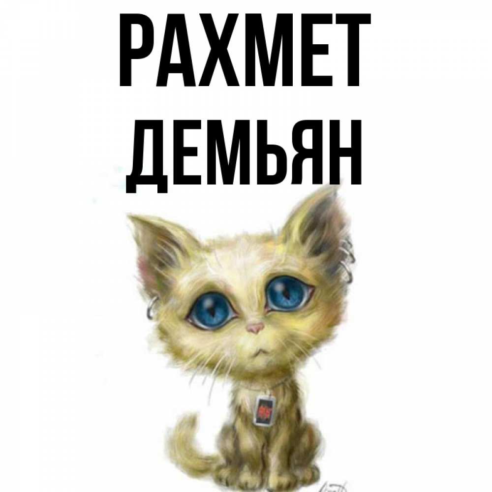 Күн сайын ашық хат с именем, Демьян рахмет рисованный кот благодарит вас Онлайн тегін жүктеп алу тілектері бар керемет карта 