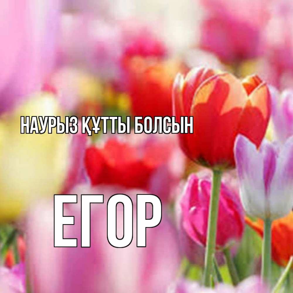 Күн сайын ашық хат с именем, Егор Наурыз құтты болсын на наурыз  2 Онлайн тегін жүктеп алу тілектері бар керемет карта 