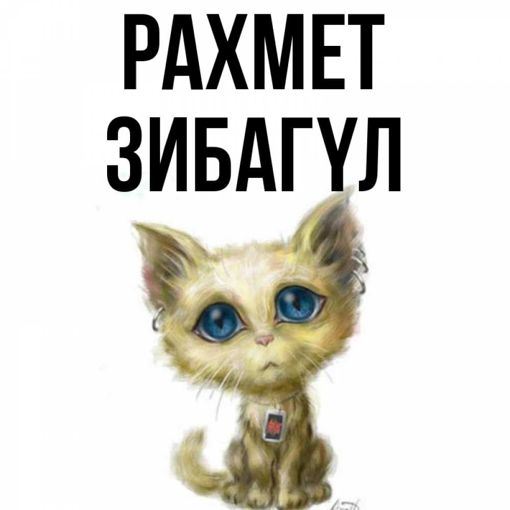 Күн сайын ашық хат с именем, ЗИБАГҮЛ рахмет рисованный кот благодарит вас Онлайн тегін жүктеп алу тілектері бар керемет карта 