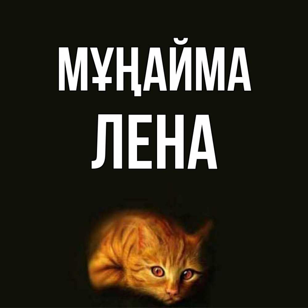 Күн сайын ашық хат с именем, Лена Мұңайма лежащий кот в темноте Онлайн тегін жүктеп алу тілектері бар керемет карта 