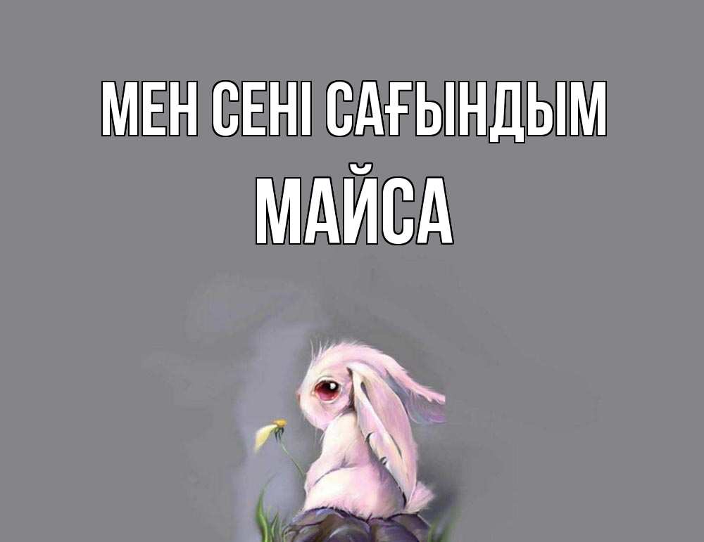 Күн сайын ашық хат с именем, МАЙСА Мен сені сағындым заяц Онлайн тегін жүктеп алу тілектері бар керемет карта 