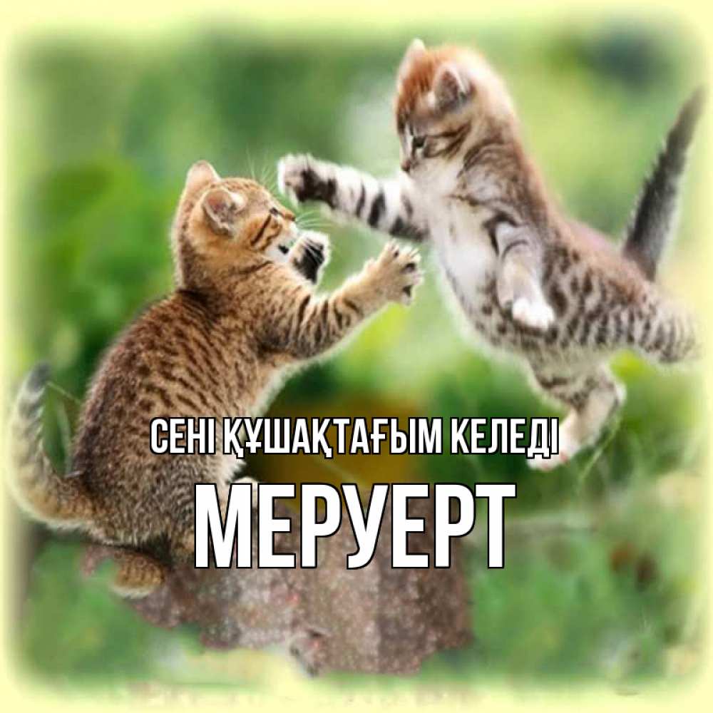 Күн сайын ашық хат с именем, МЕРУЕРТ сені құшақтағым келеді игры котят Онлайн тегін жүктеп алу тілектері бар керемет карта 