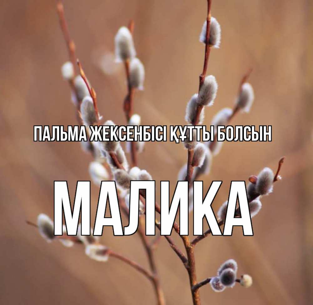 Күн сайын ашық хат с именем, Малика Пальма жексенбісі құтты болсын верба Онлайн тегін жүктеп алу тілектері бар керемет карта 
