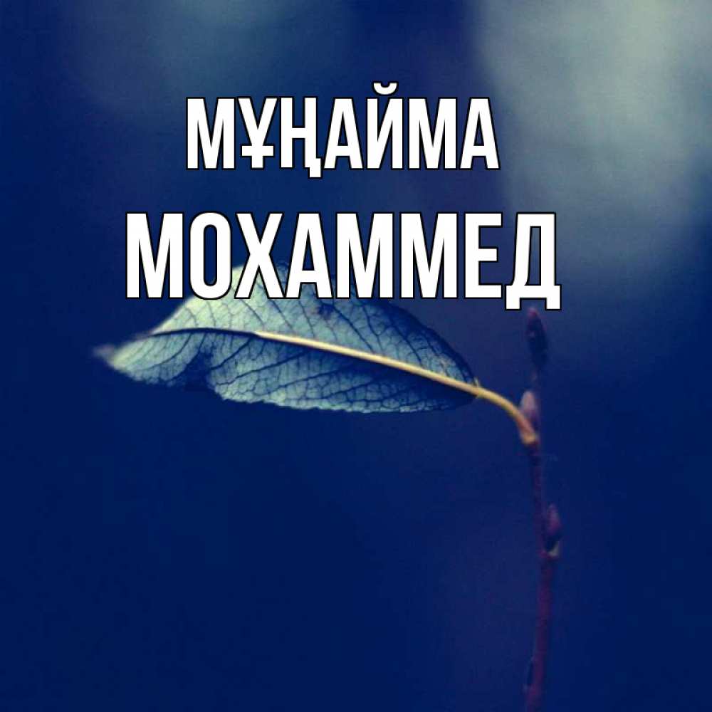 Күн сайын ашық хат с именем, Мохаммед Мұңайма растение Онлайн тегін жүктеп алу тілектері бар керемет карта 