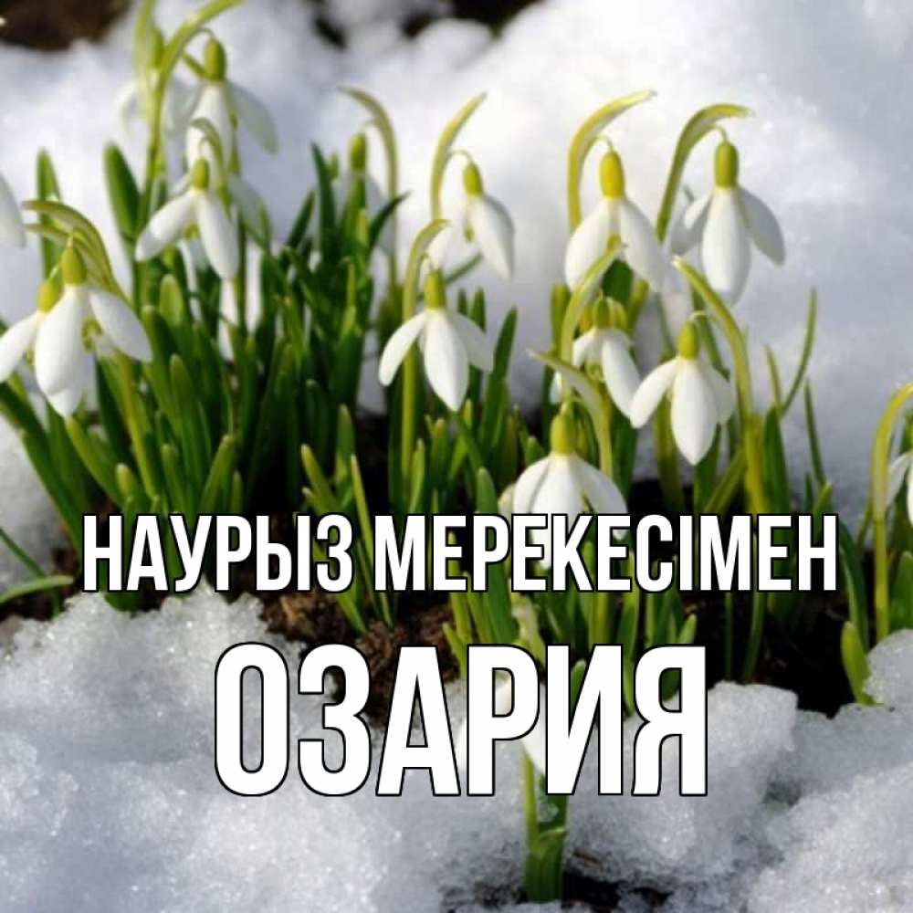 Күн сайын ашық хат с именем, ОЗАРИЯ Наурыз мерекесімен цветы весенние Онлайн тегін жүктеп алу тілектері бар керемет карта 
