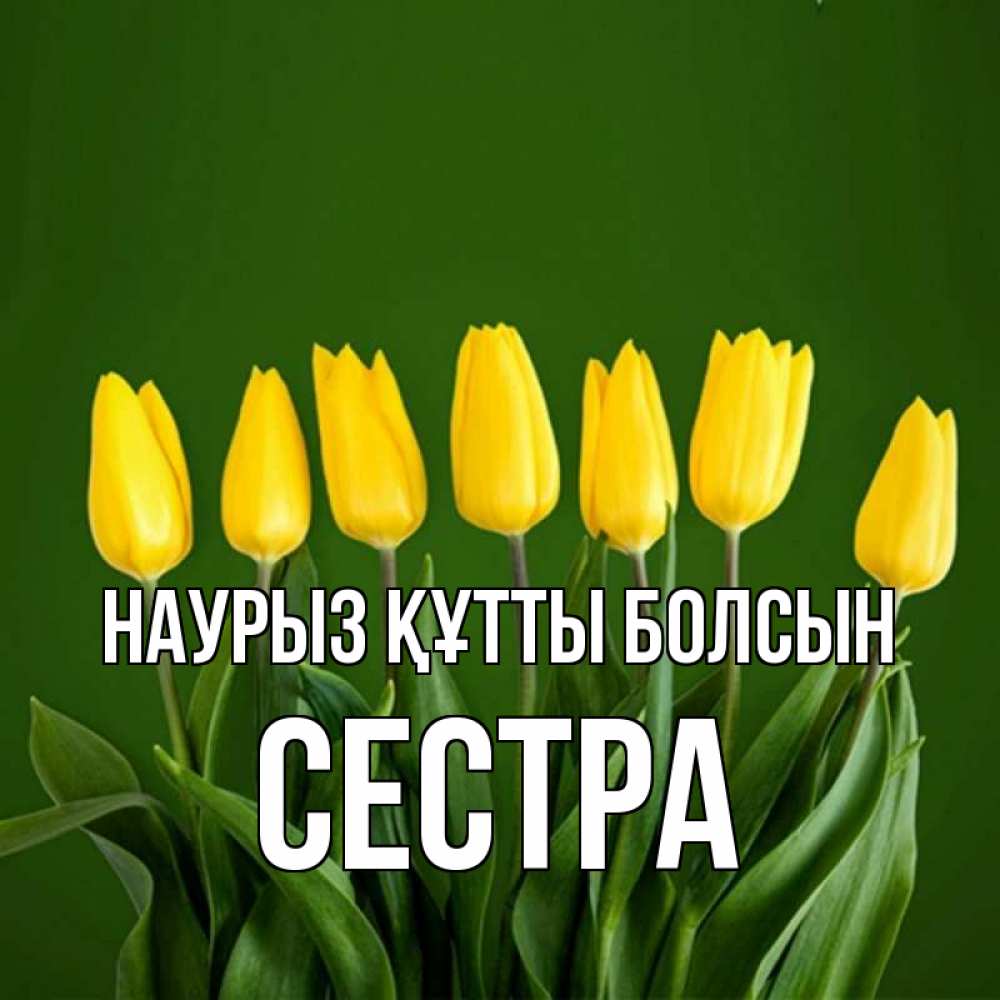 Күн сайын ашық хат с именем, Сестра Наурыз құтты болсын желтого цвета 3 Онлайн тегін жүктеп алу тілектері бар керемет карта 