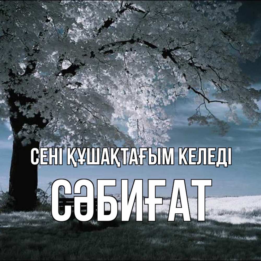 Күн сайын ашық хат с именем, СӘБИҒАТ сені құшақтағым келеді дерево Онлайн тегін жүктеп алу тілектері бар керемет карта 