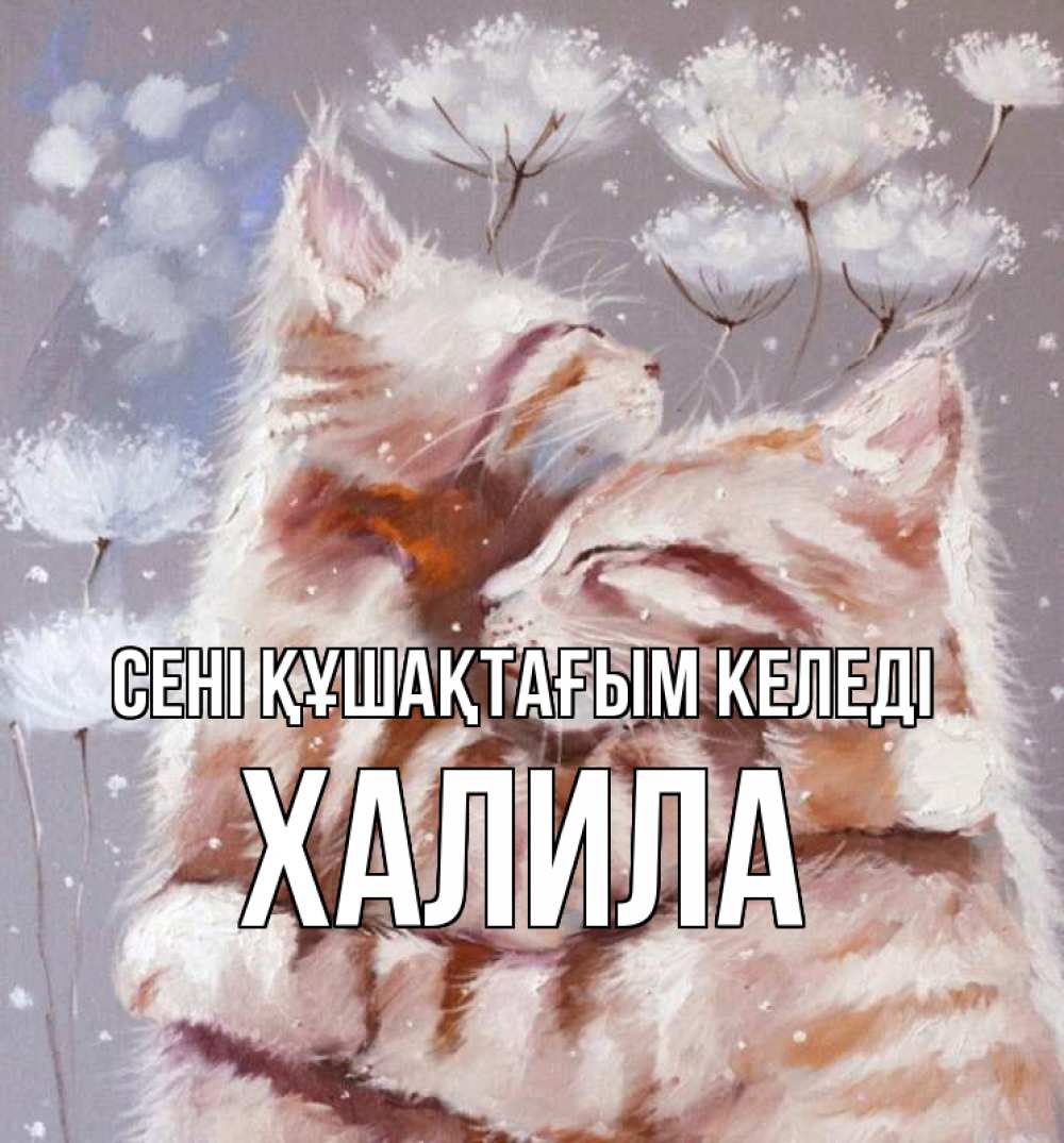 Күн сайын ашық хат с именем, ХАЛИЛА сені құшақтағым келеді Море и горы Онлайн тегін жүктеп алу тілектері бар керемет карта 