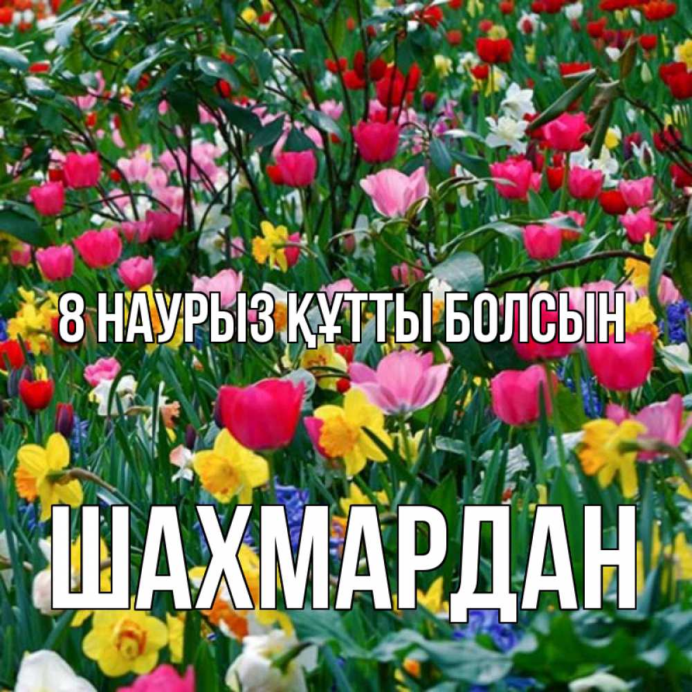 Күн сайын ашық хат с именем, ШАХМАРДАН 8 наурыз құтты болсын с международным женским днем поздравления для женщины Онлайн тегін жүктеп алу тілектері бар керемет карта 