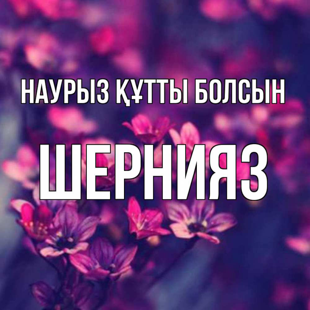Күн сайын ашық хат с именем, ШЕРНИЯЗ Наурыз құтты болсын небольшие цветы 1 Онлайн тегін жүктеп алу тілектері бар керемет карта 