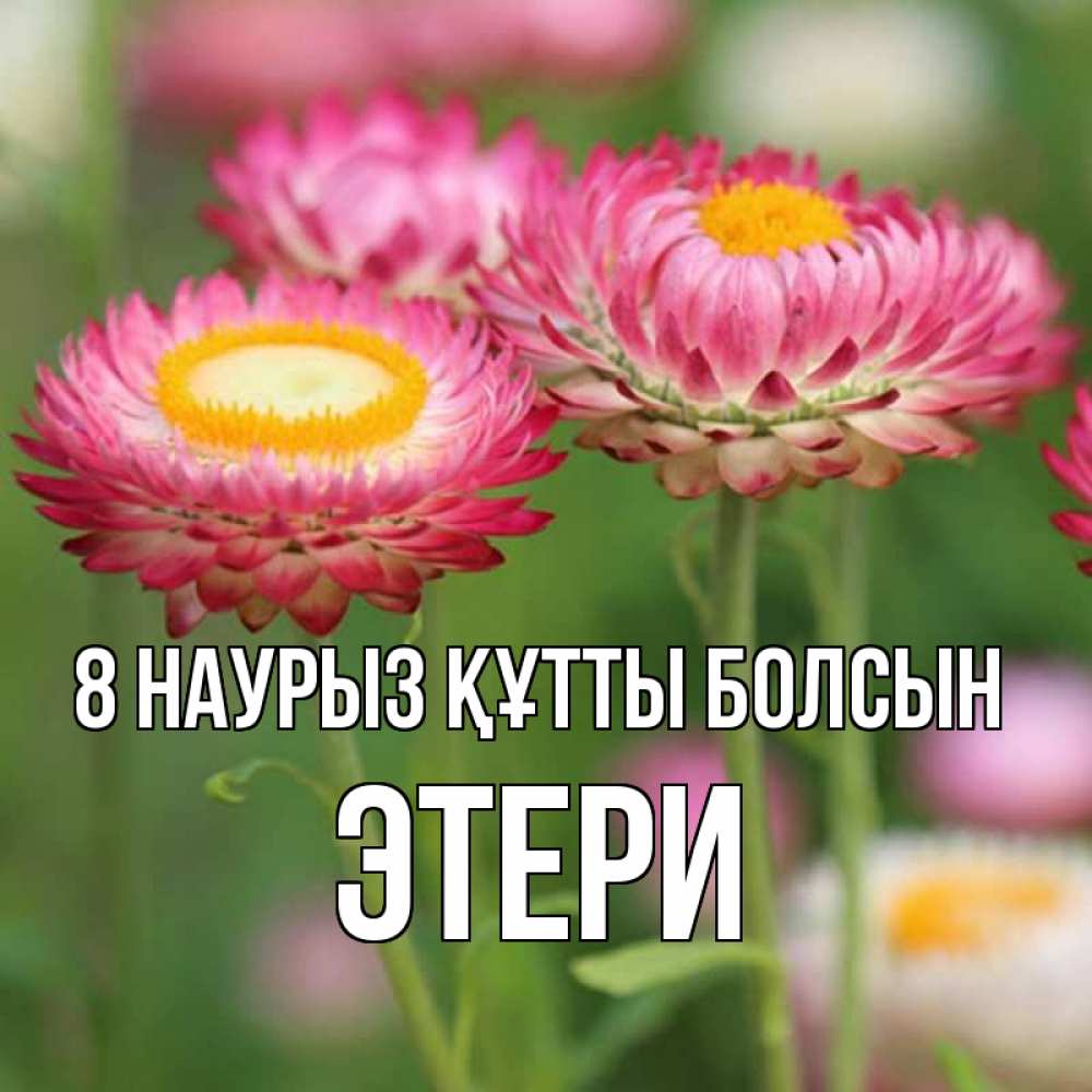 Күн сайын ашық хат с именем, Этери 8 наурыз құтты болсын подарок на международный женский день Онлайн тегін жүктеп алу тілектері бар керемет карта 