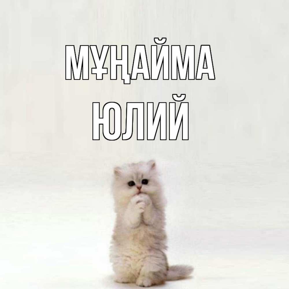 Күн сайын ашық хат с именем, Юлий Мұңайма грустный кот Онлайн тегін жүктеп алу тілектері бар керемет карта 