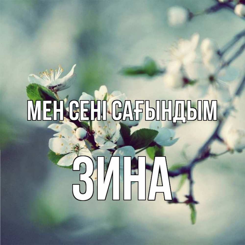 Күн сайын ашық хат с именем, Зина Мен сені сағындым весна Онлайн тегін жүктеп алу тілектері бар керемет карта 