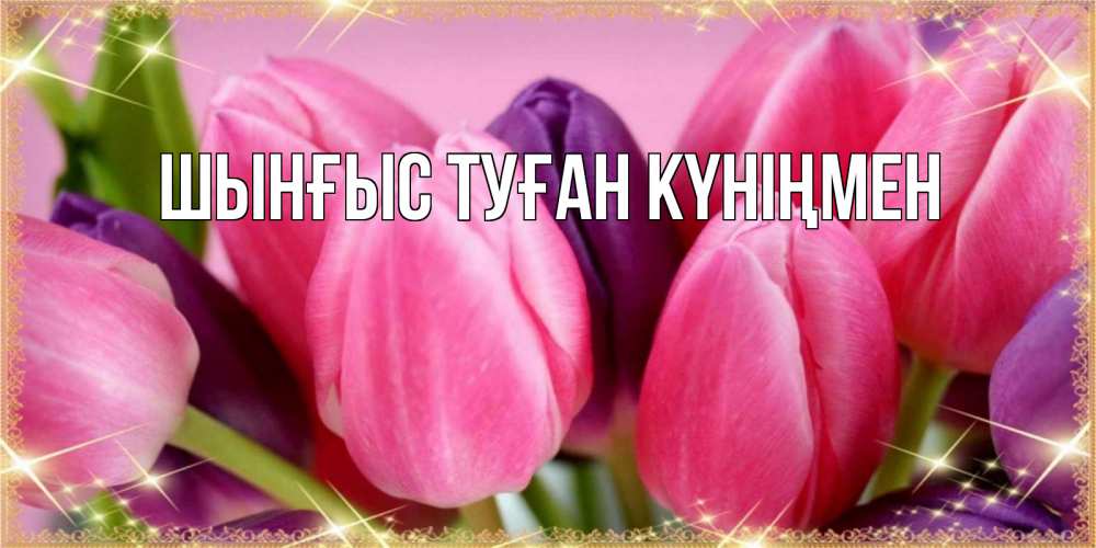 Картинка  с именем , ШЫНҒЫС! ТУҒАН КҮНІҢМЕН!