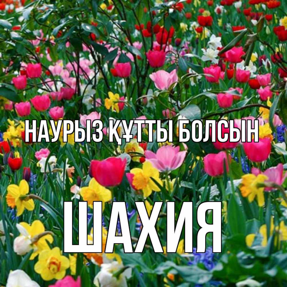 Күн сайын ашық хат с именем, ШАХИЯ Наурыз құтты болсын с наурызом поздравления для женщины Онлайн тегін жүктеп алу тілектері бар керемет карта 