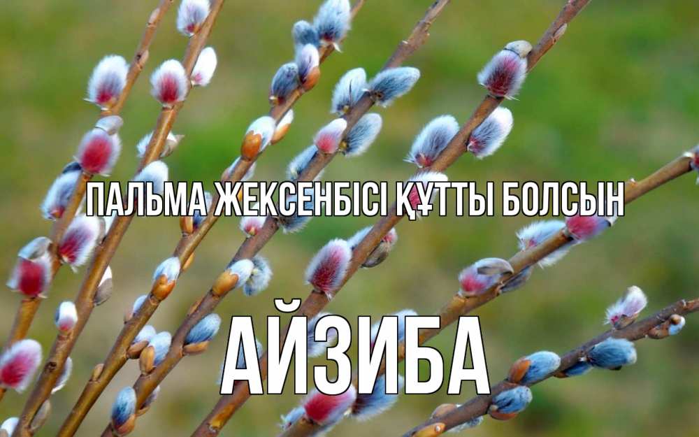 Күн сайын ашық хат с именем, АЙЗИБА Пальма жексенбісі құтты болсын верба Онлайн тегін жүктеп алу тілектері бар керемет карта 