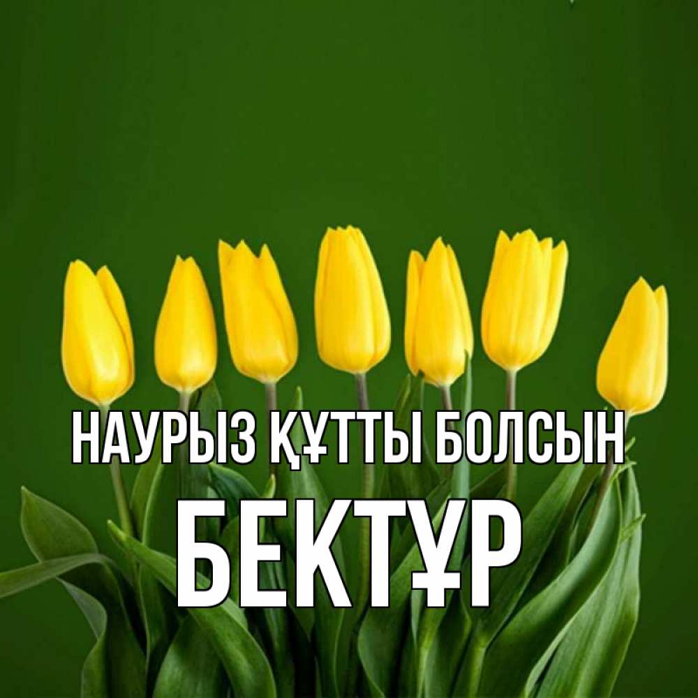 Күн сайын ашық хат с именем, Бектұр Наурыз құтты болсын желтого цвета 3 Онлайн тегін жүктеп алу тілектері бар керемет карта 