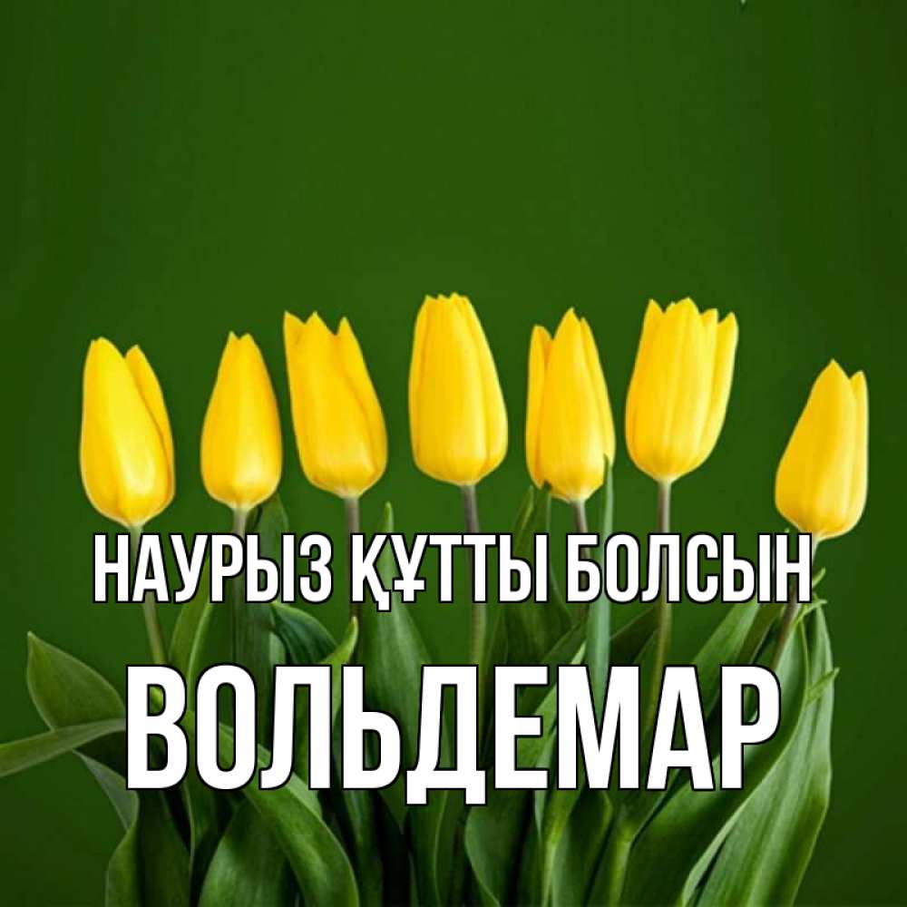 Күн сайын ашық хат с именем, Вольдемар Наурыз құтты болсын желтого цвета 3 Онлайн тегін жүктеп алу тілектері бар керемет карта 