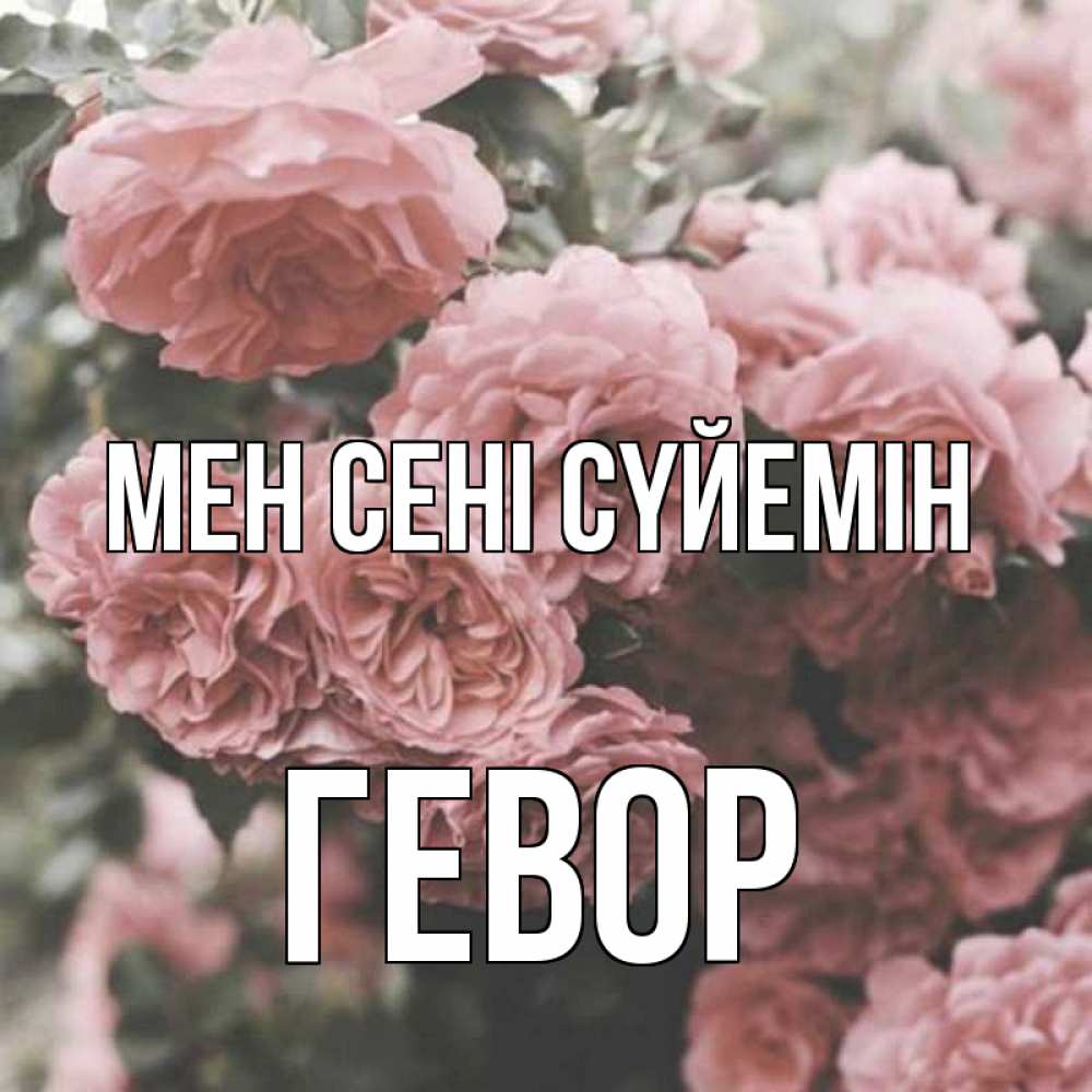 Күн сайын ашық хат с именем, Гевор Мен сені сүйемін розы 3 Онлайн тегін жүктеп алу тілектері бар керемет карта 