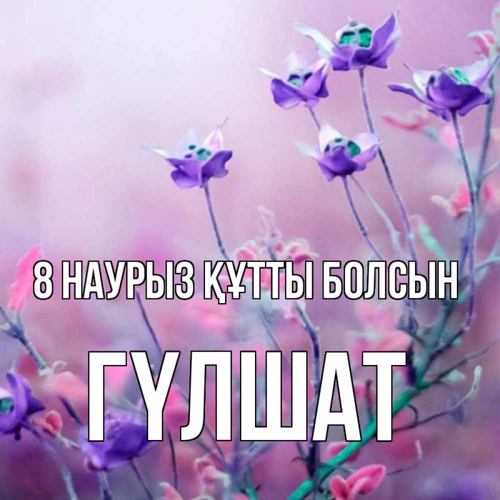 Күн сайын ашық хат с именем, ГҮЛШАТ 8 наурыз құтты болсын международный женский день 2 Онлайн тегін жүктеп алу тілектері бар керемет карта 