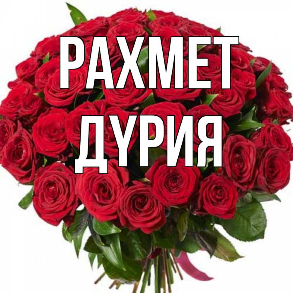 Күн сайын ашық хат с именем, ДҮРИЯ рахмет букет красных роз Онлайн тегін жүктеп алу тілектері бар керемет карта 
