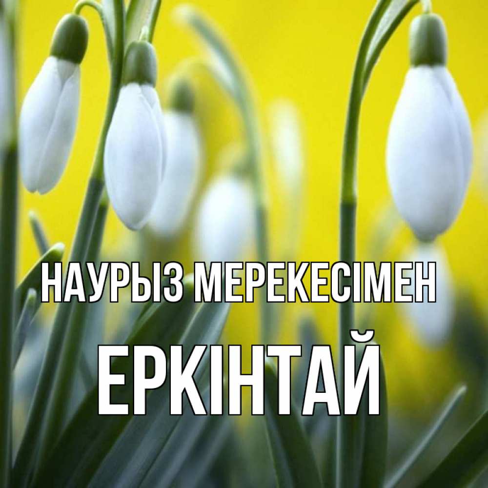Күн сайын ашық хат с именем, Еркінтай Наурыз мерекесімен весенние цветы Онлайн тегін жүктеп алу тілектері бар керемет карта 