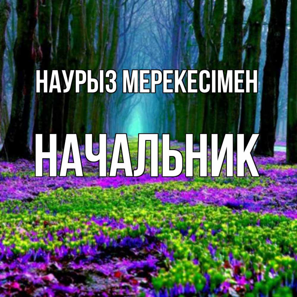 Күн сайын ашық хат с именем, Начальник Наурыз мерекесімен фиолетовые цветы в лесу 1 Онлайн тегін жүктеп алу тілектері бар керемет карта 
