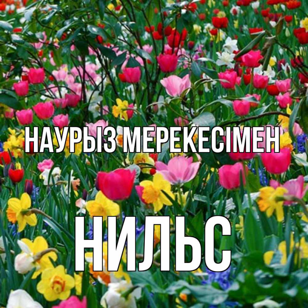 Күн сайын ашық хат с именем, Нильс Наурыз мерекесімен с наурызом праздником весны поздравления для женщины Онлайн тегін жүктеп алу тілектері бар керемет карта 