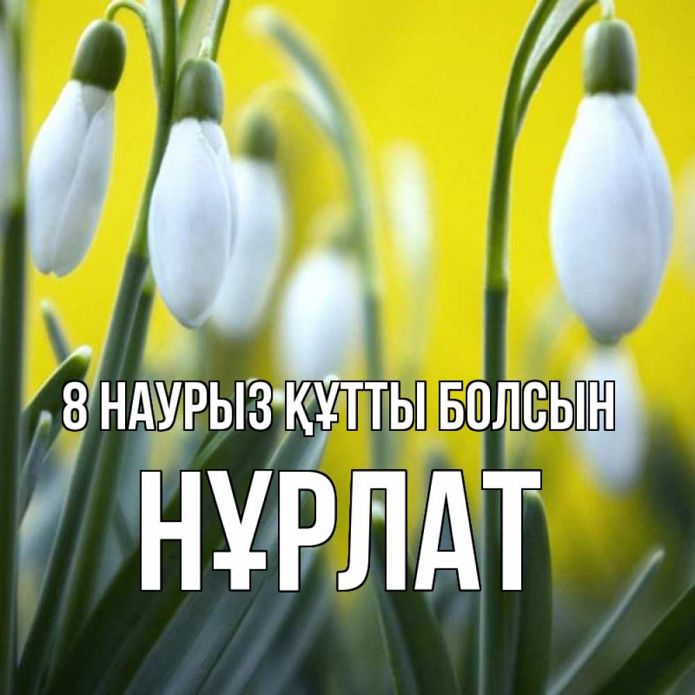 Күн сайын ашық хат с именем, НҰРЛАТ 8 наурыз құтты болсын весенние цветы Онлайн тегін жүктеп алу тілектері бар керемет карта 