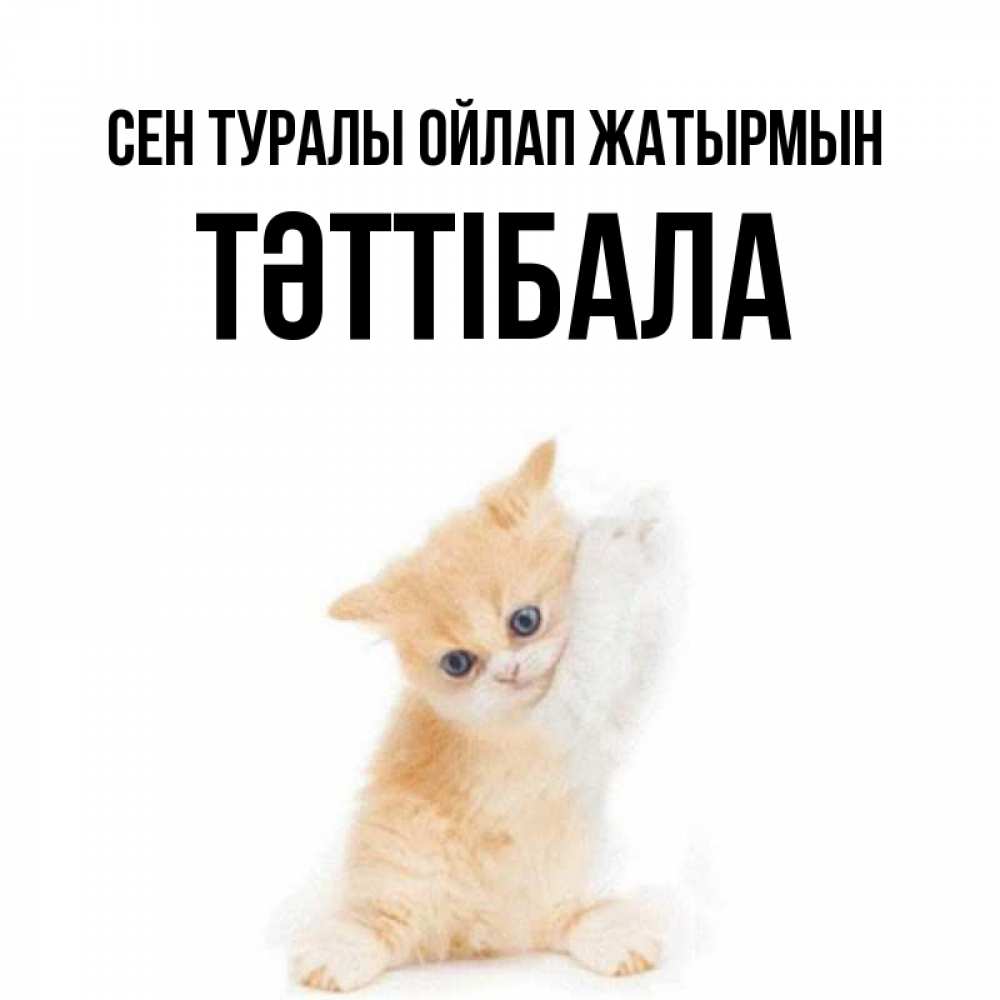 Күн сайын ашық хат с именем, ТӘТТІБАЛА Сен туралы ойлап жатырмын зверушки и милота Онлайн тегін жүктеп алу тілектері бар керемет карта 