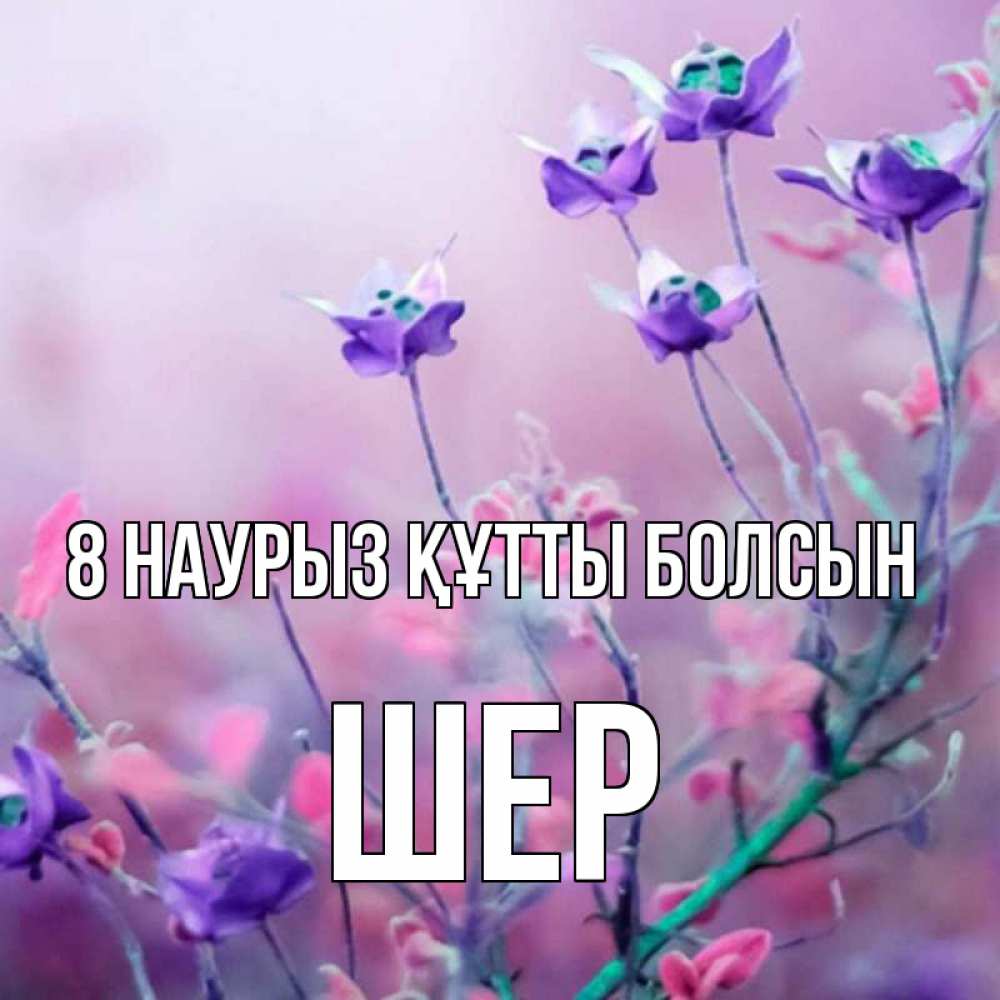 Күн сайын ашық хат с именем, ШЕР 8 наурыз құтты болсын международный женский день 2 Онлайн тегін жүктеп алу тілектері бар керемет карта 