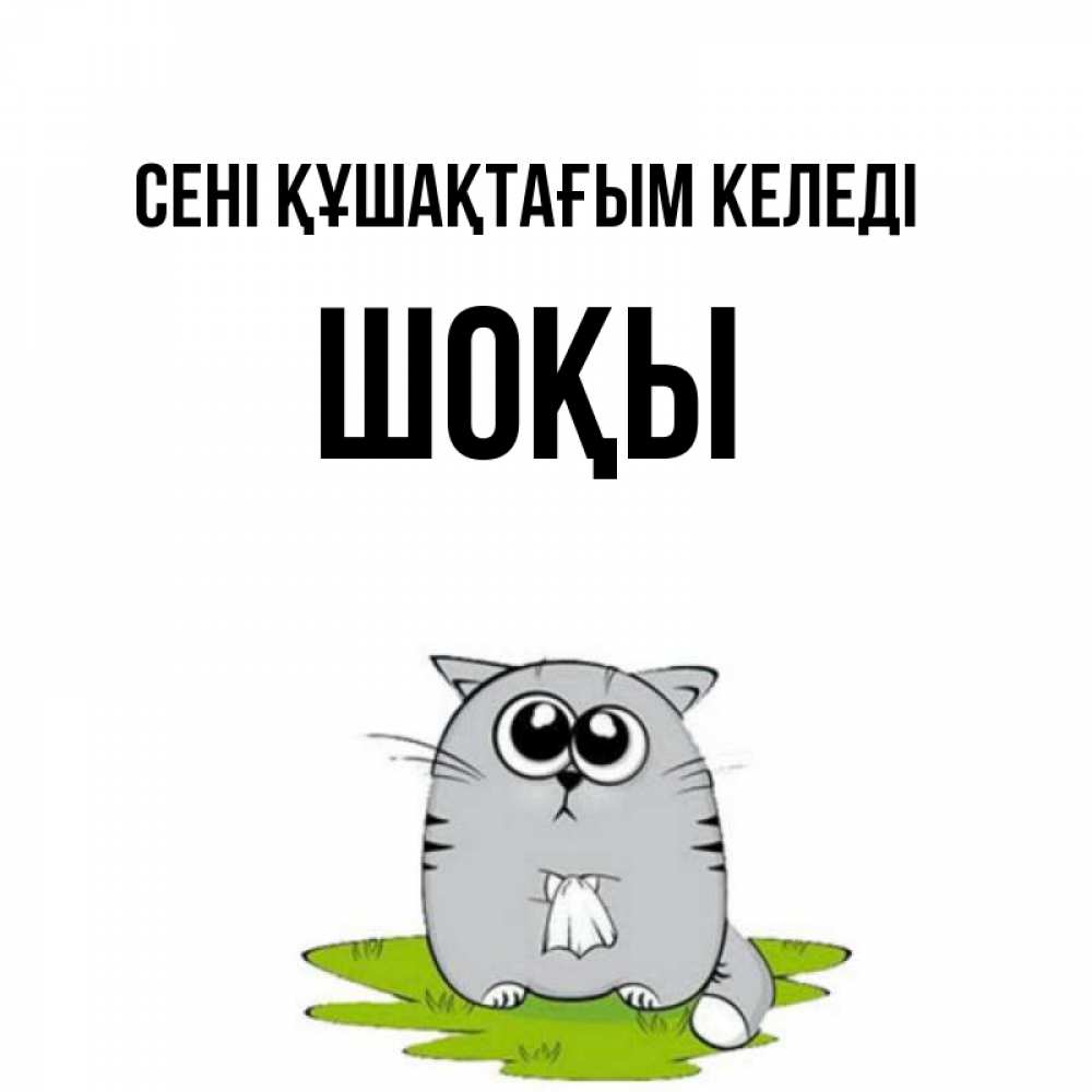Күн сайын ашық хат с именем, ШОҚЫ сені құшақтағым келеді котик теребит платочек сидя на травке Онлайн тегін жүктеп алу тілектері бар керемет карта 