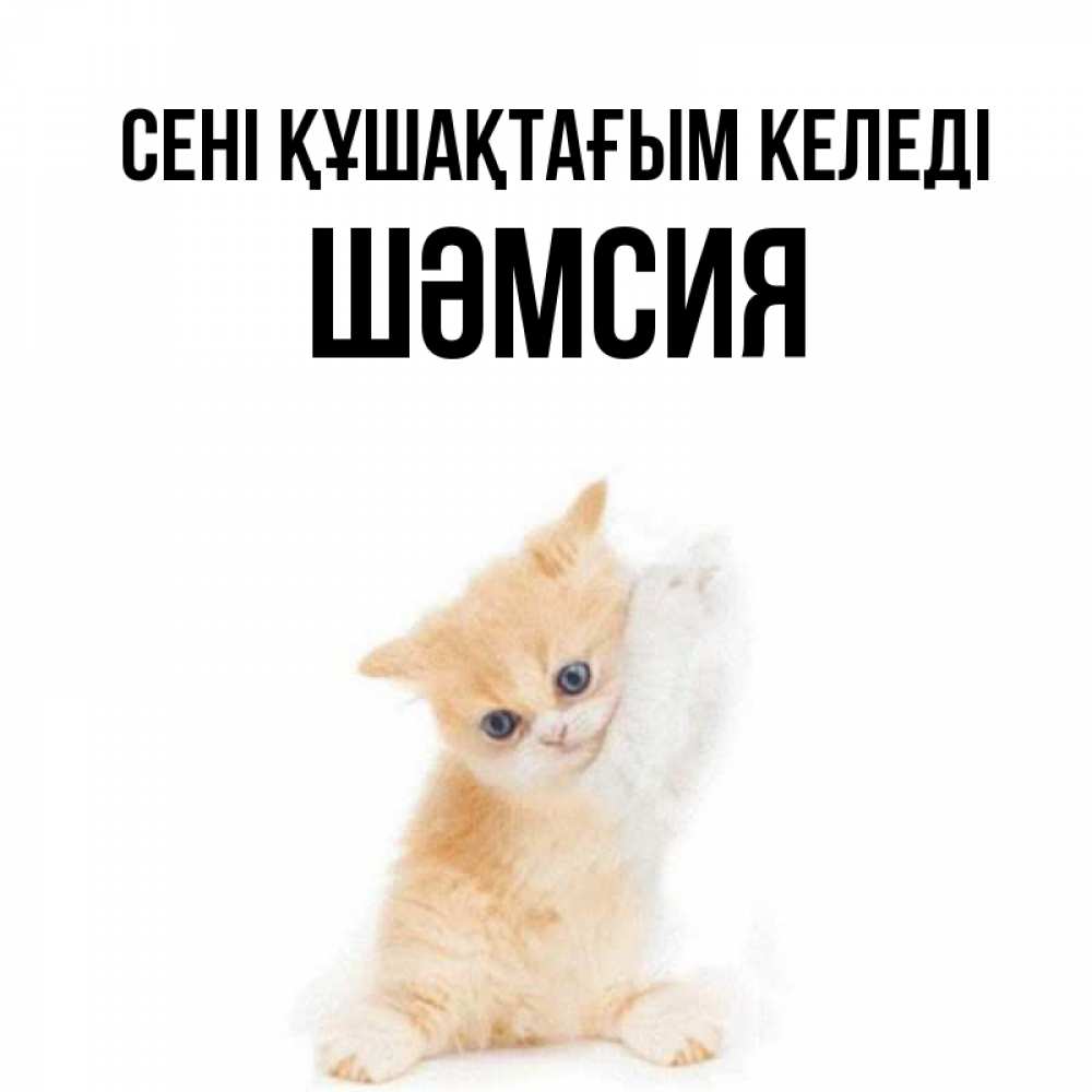 Күн сайын ашық хат с именем, ШӘМСИЯ сені құшақтағым келеді я хочу очень скорее обнимаешек Онлайн тегін жүктеп алу тілектері бар керемет карта 