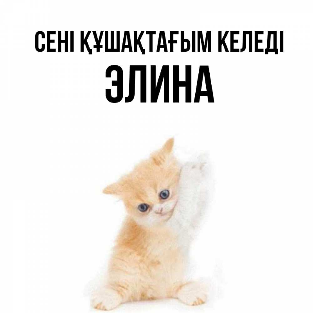 Күн сайын ашық хат с именем, Элина сені құшақтағым келеді я хочу очень скорее обнимаешек Онлайн тегін жүктеп алу тілектері бар керемет карта 