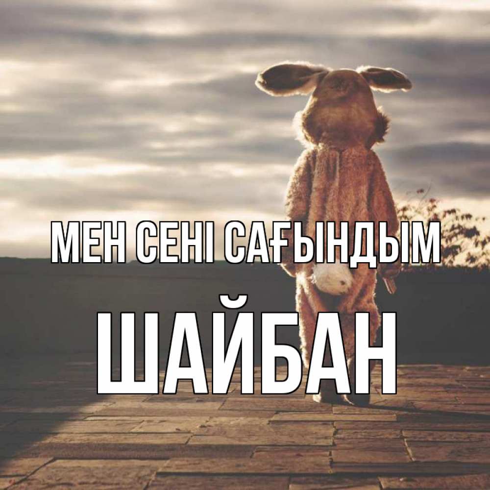 Күн сайын ашық хат с именем, ШАЙБАН Мен сені сағындым даже в костюме зайца Онлайн тегін жүктеп алу тілектері бар керемет карта 