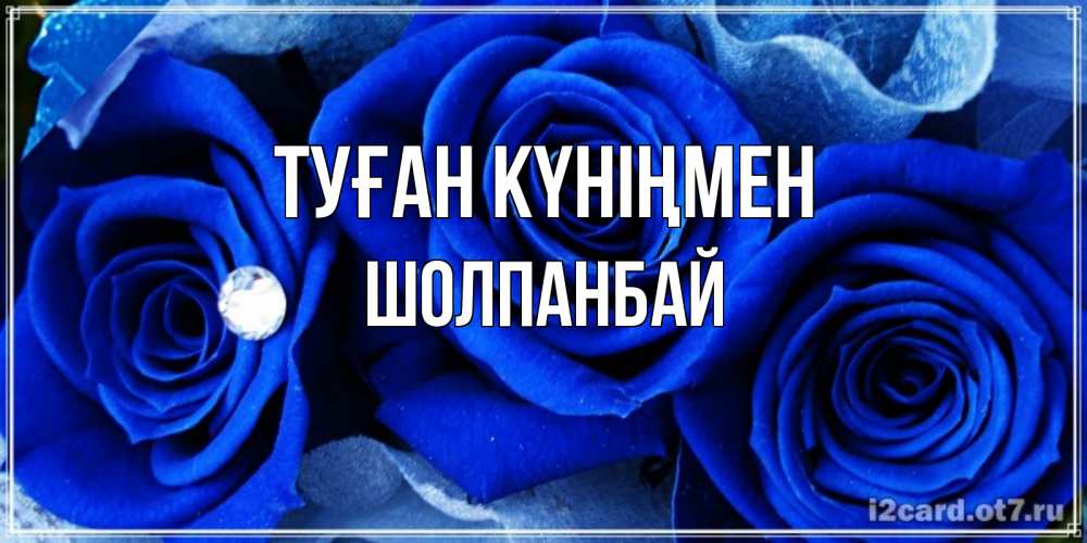 Күн сайын ашық хат с именем, ШОЛПАНБАЙ Туған күніңмен синие розы в росе Онлайн тегін жүктеп алу тілектері бар керемет карта 