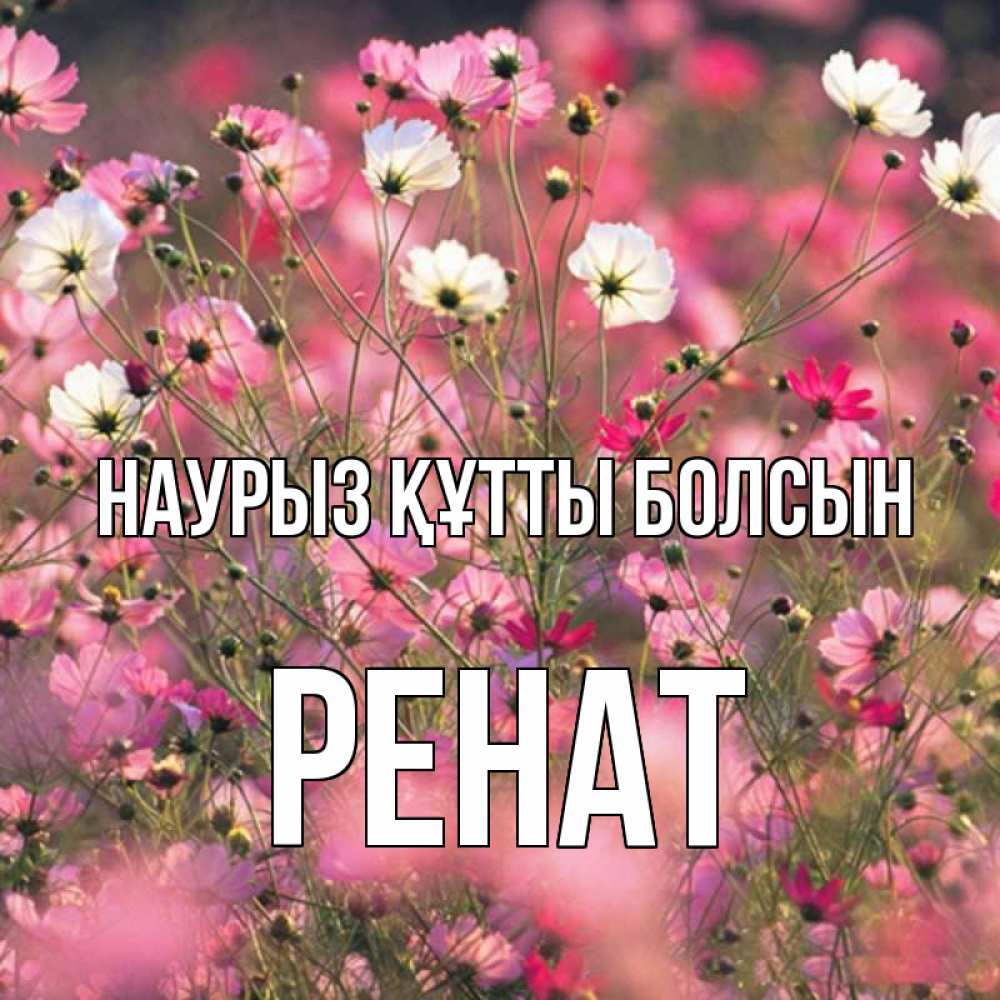 Күн сайын ашық хат с именем, РЕНАТ Наурыз құтты болсын красиво 1 Онлайн тегін жүктеп алу тілектері бар керемет карта 