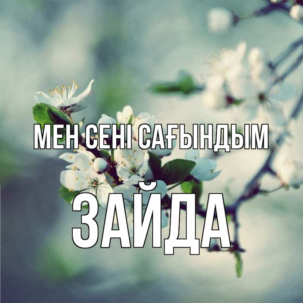 Күн сайын ашық хат с именем, ЗАЙДА Мен сені сағындым весна Онлайн тегін жүктеп алу тілектері бар керемет карта 