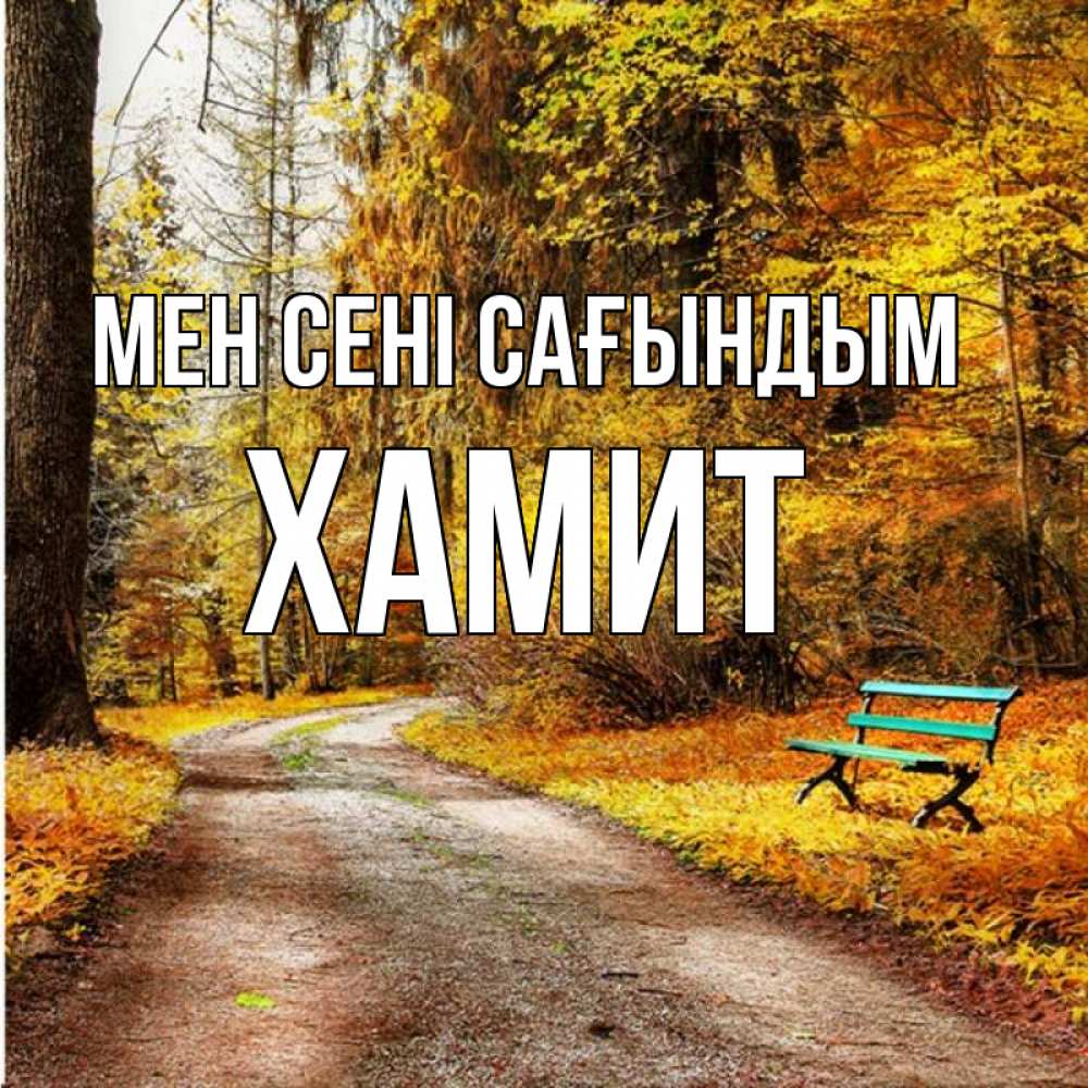 Күн сайын ашық хат с именем, ХАМИТ Мен сені сағындым зеленая лавочка и осенний лес Онлайн тегін жүктеп алу тілектері бар керемет карта 
