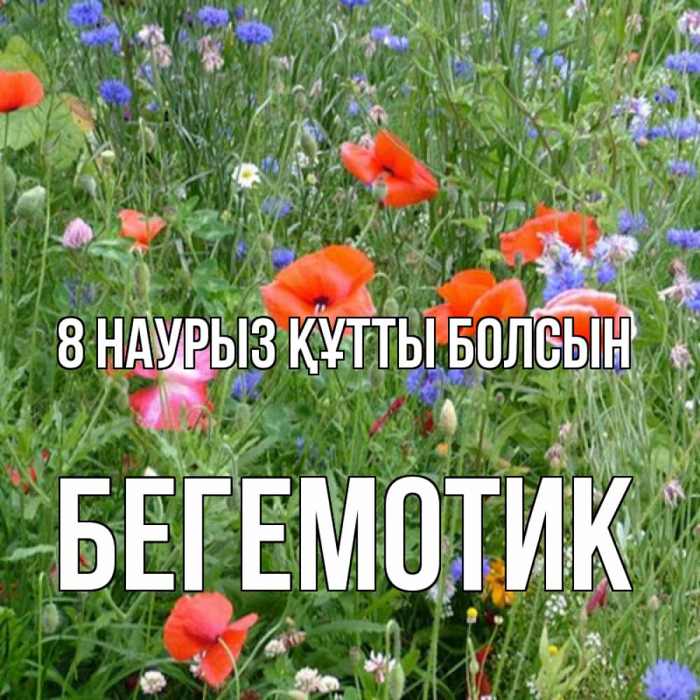 Күн сайын ашық хат с именем, Бегемотик 8 наурыз құтты болсын международный женский день 4 Онлайн тегін жүктеп алу тілектері бар керемет карта 